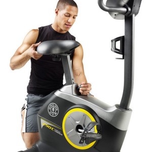 comfort of Gold's Gym Cycle Trainer 290 C Upright Exercise Bike