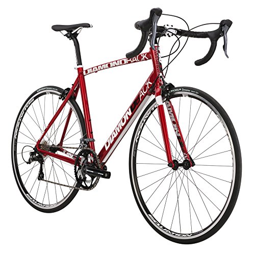 best beginner road bike under 300