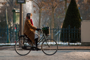 comfort biking